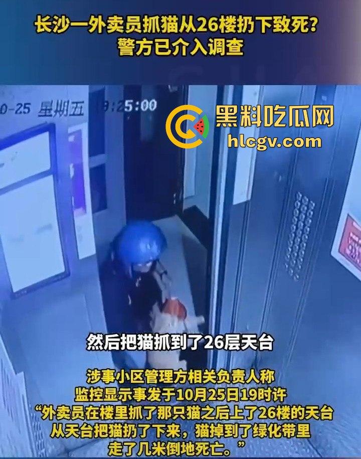 长沙外卖员丧心病狂虐猫!抓猫从26楼扔下当场摔死!-4