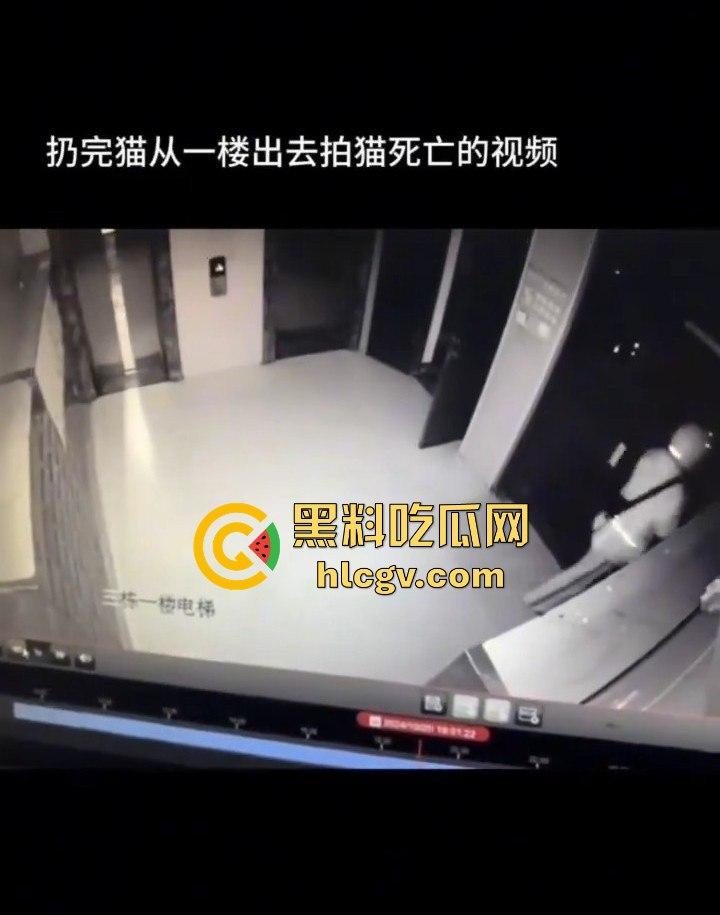 长沙外卖员丧心病狂虐猫!抓猫从26楼扔下当场摔死!-6
