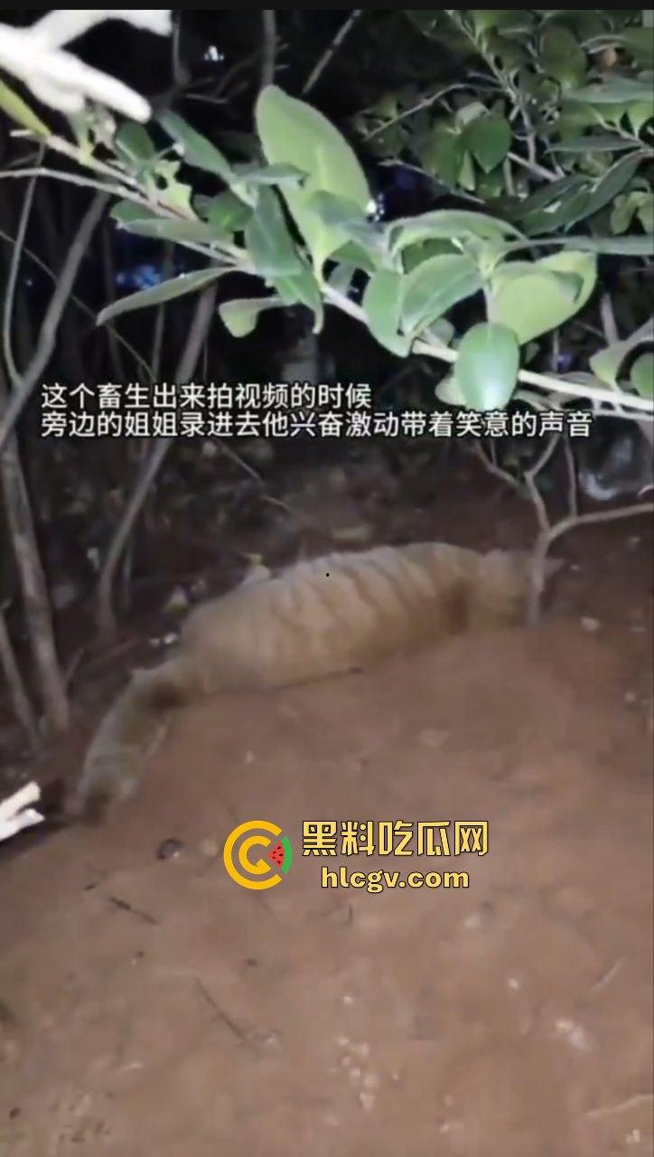长沙外卖员丧心病狂虐猫!抓猫从26楼扔下当场摔死!-7