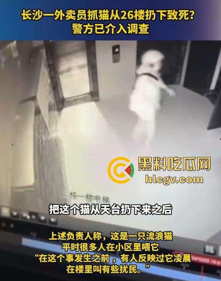 长沙外卖员丧心病狂虐猫!抓猫从26楼扔下当场摔死!-9