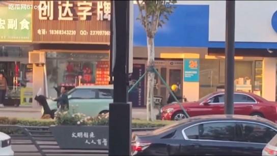 桐乡 男子因纠纷行凶 用榔头猛烈锤击美女律师头部  当场被制服-7