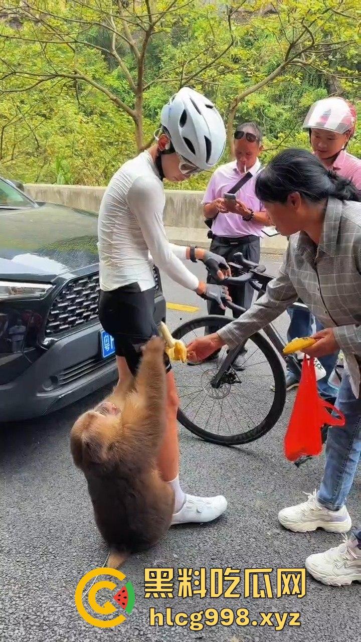 奇葩猴子不吃香蕉专爱美女！见到女的就疯狂抱大腿、抓胸、扯头发！-4