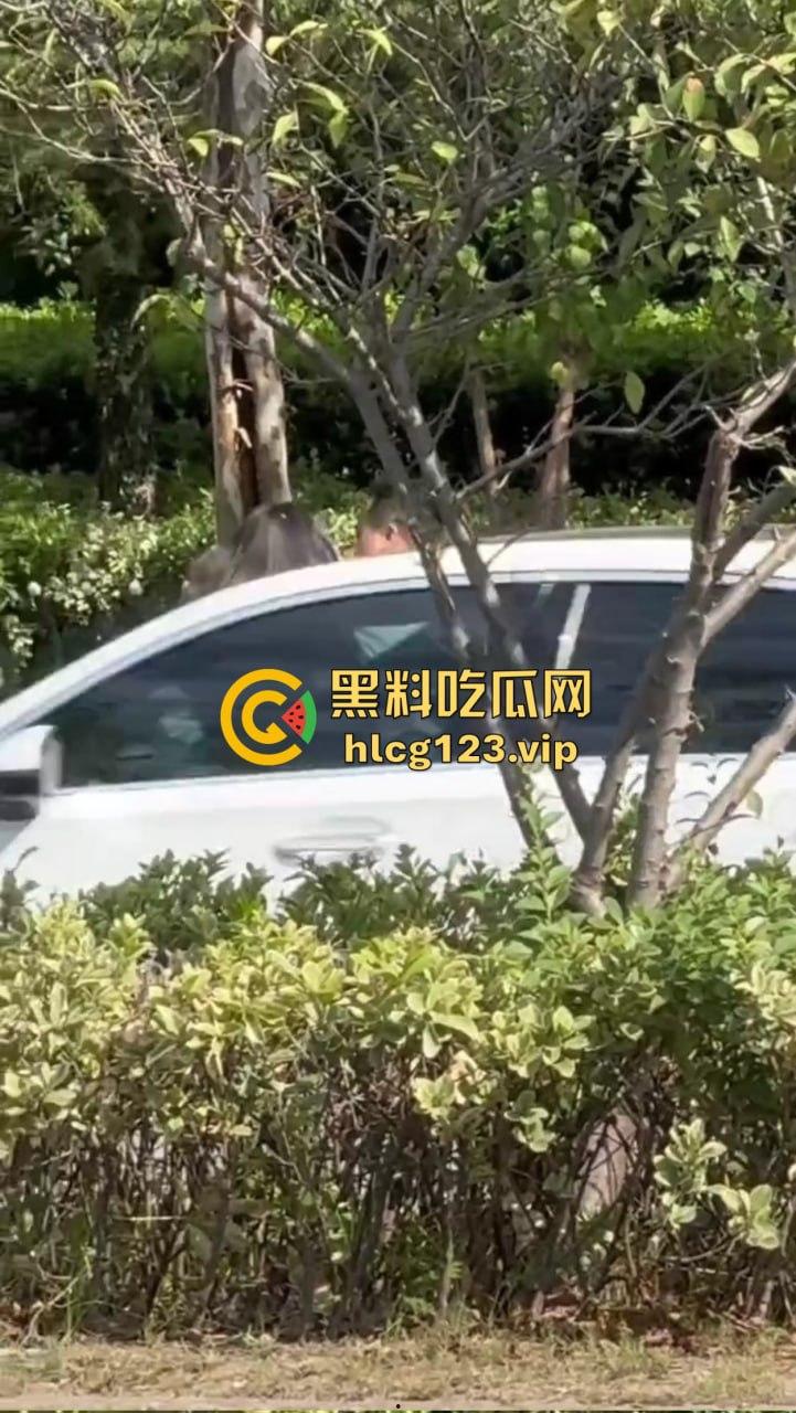 安徽芜湖长江南路惊现大尺度现场！为爱马仕鳄鱼皮，女的当街给口，鸡瘾犯了拼了命！-2
