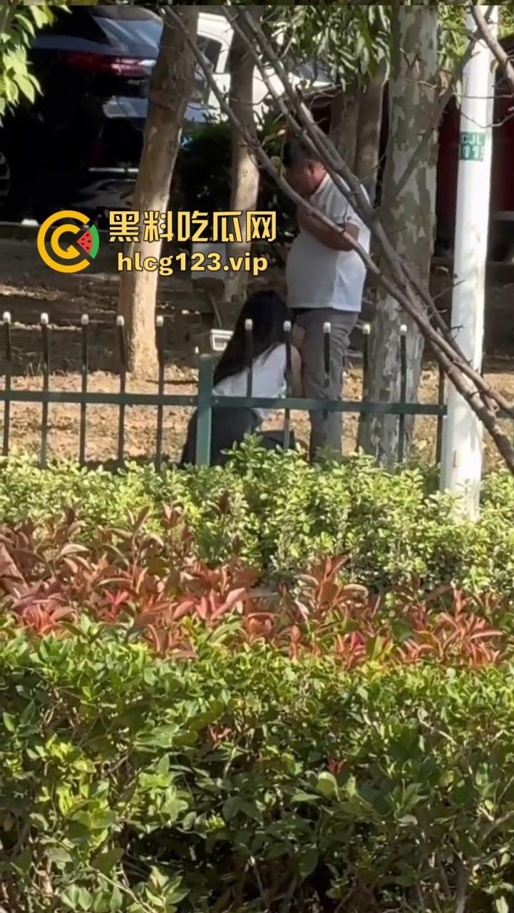安徽芜湖长江南路惊现大尺度现场！为爱马仕鳄鱼皮，女的当街给口，鸡瘾犯了拼了命！-3
