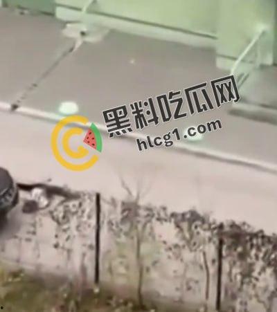 大连公安局交警支队政委张一辉在办公室九楼跳楼自杀，有人说畏罪自杀有人说被人所逼，瓜友们怎么看-4