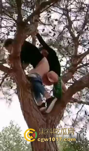 小编精选户外野战做爱视频,各种场景各种大胆做爱露出,无视众人猛插骚逼,只友你想不到的没有他们不敢操的!-5