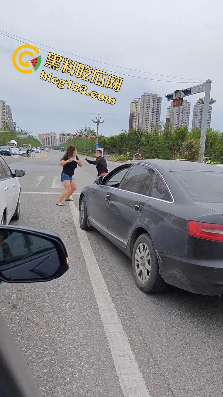 斑马线前路怒症爆发，男女大打出手，打架场面竟如游泳比赛般精彩！-8