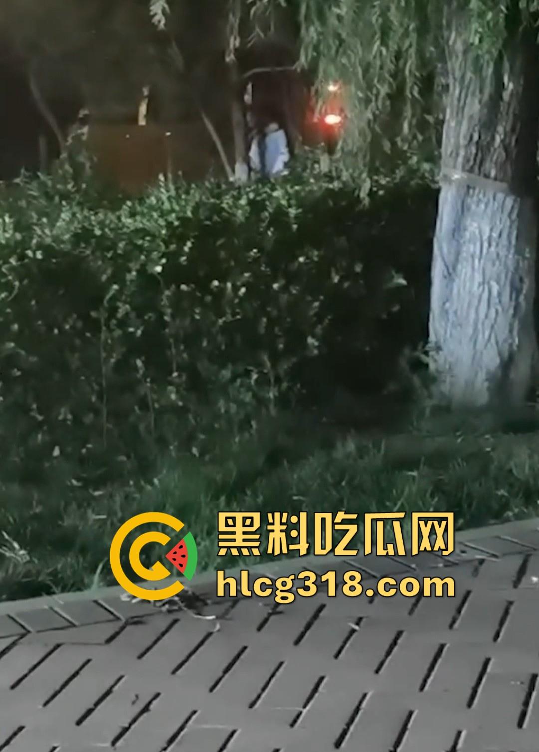 山东东营大爷大妈夜市小树林大战!直立后入爆操,激烈而迅猛,但仅仅只维持了一分多钟就潦草收场!-1