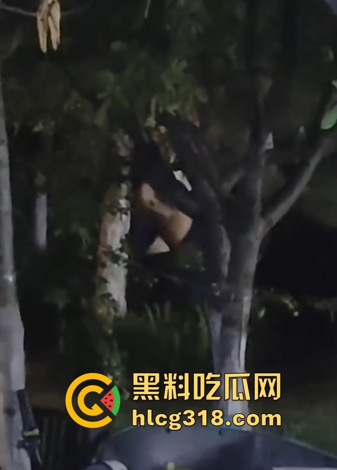 山东东营大爷大妈夜市小树林大战!直立后入爆操,激烈而迅猛,但仅仅只维持了一分多钟就潦草收场!-4