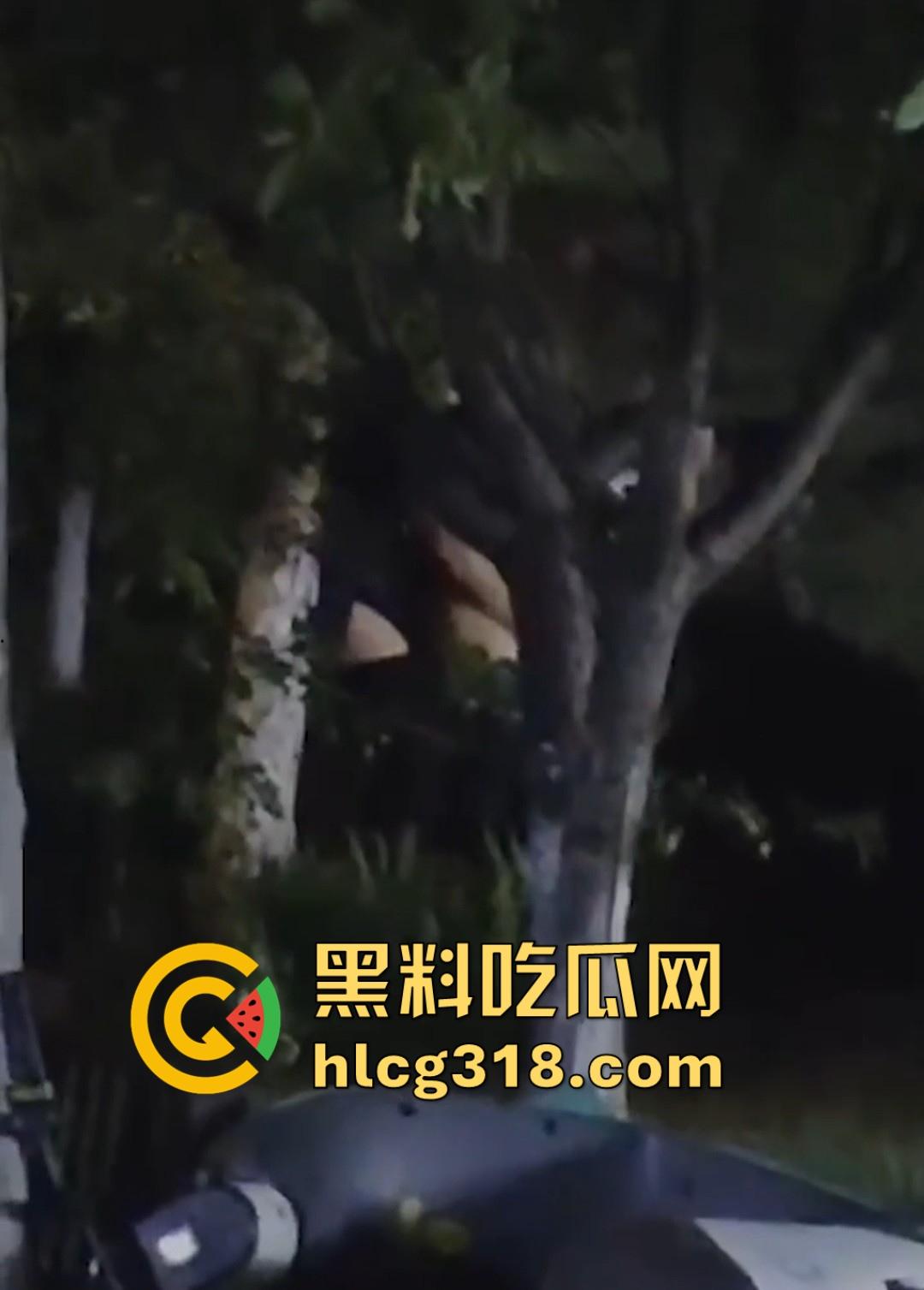 山东东营大爷大妈夜市小树林大战!直立后入爆操,激烈而迅猛,但仅仅只维持了一分多钟就潦草收场!-6