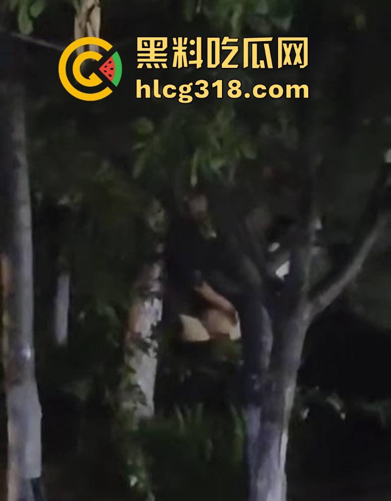 山东东营大爷大妈夜市小树林大战!直立后入爆操,激烈而迅猛,但仅仅只维持了一分多钟就潦草收场!-9