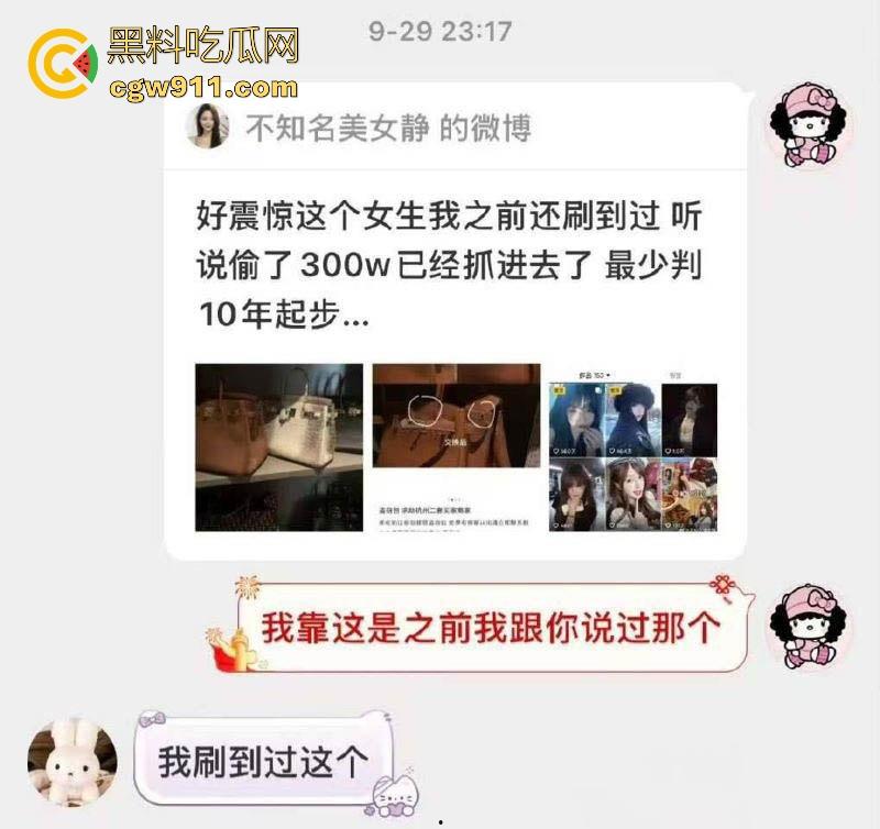 纯欲网红【小鱼丸子】变身怪盗基德!私下竟是偷包赌狗,600万奢侈品被调包,靠卖身还赌债,却还偷朋友东西变现!-2