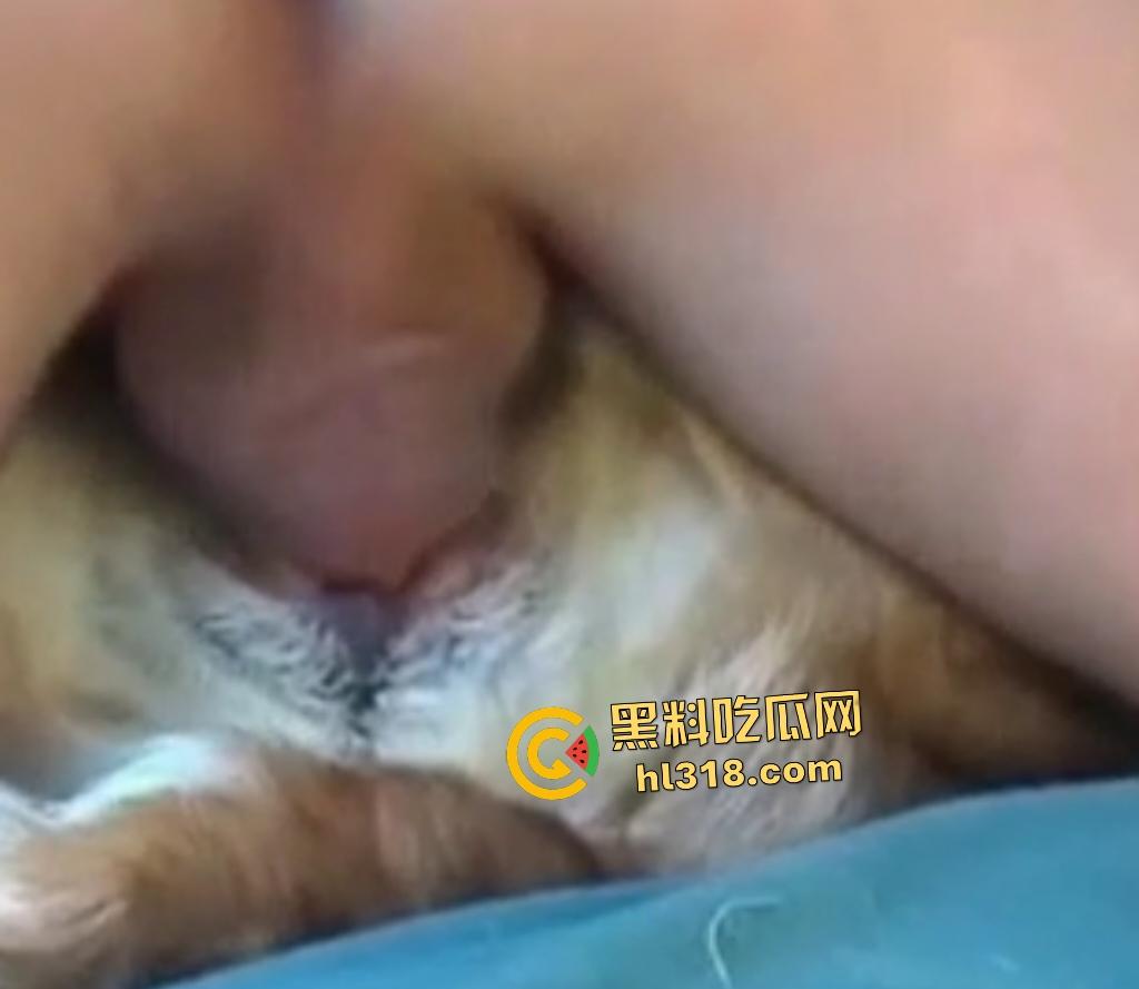 狂野男人与忠犬上演人兽激情！人与狗交欢，传教士式把狗压在身体下，这才是真的操母狗！-7