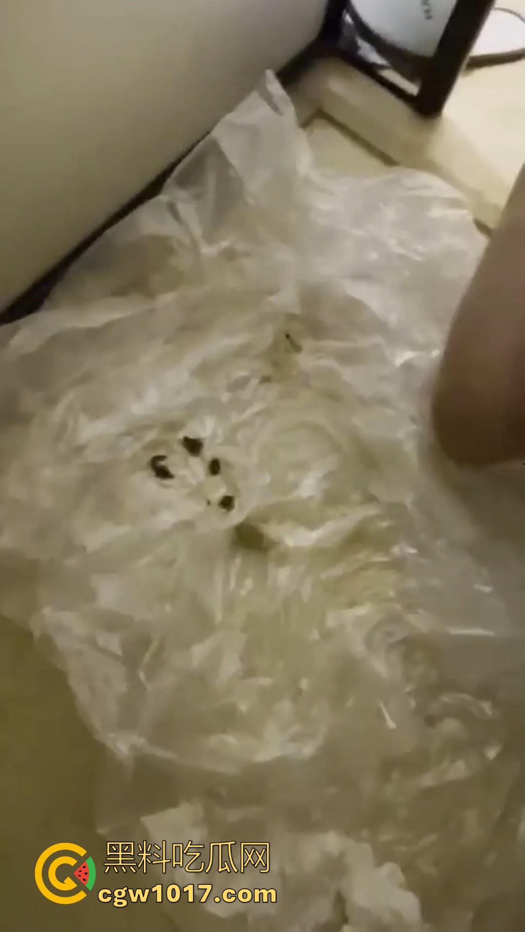 重口调教女奴！制黄金、吃厕纸、喝厕所谁、厕奴化调教，叫啥做啥，这女奴隶调教的可以，极其重口味！-7