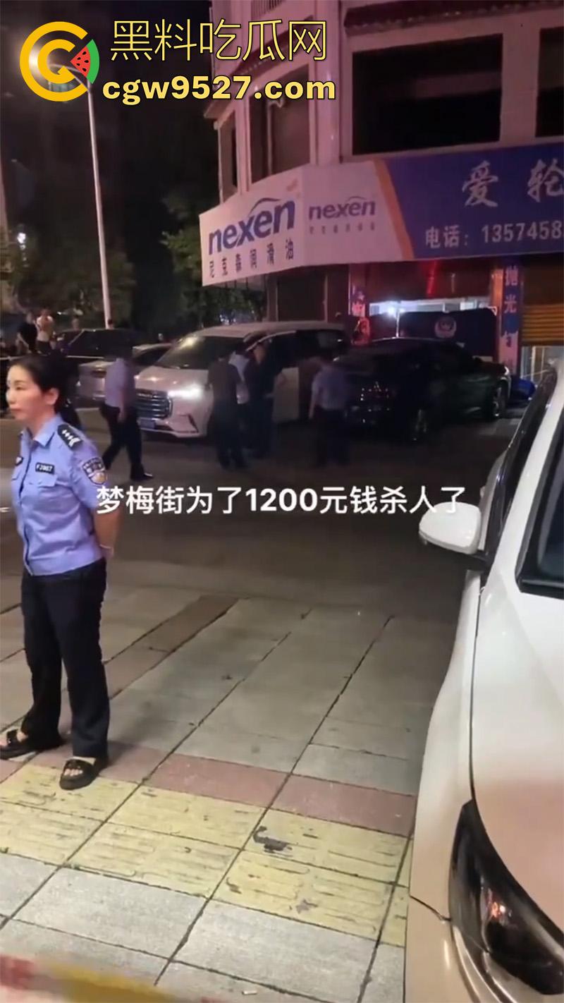 1200元引发杀身之祸，湖南新化梦梅街，一名宝马车主因不还钱，最终被人当街杀死，当老赖下场真惨啊！-2