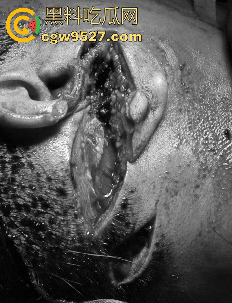 越南海防水果批发市场，发生重大砍人事件，男子手持菜刀疯狂劈砍，导致三人身受重伤，现场视频流出！-3