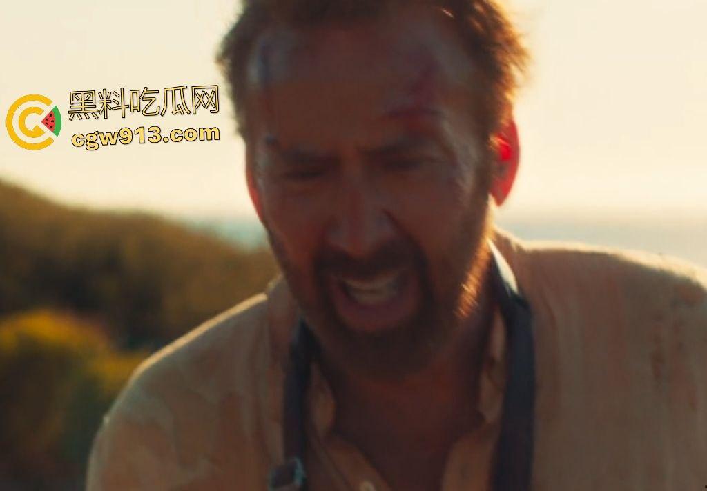 2025惊悚大片【冲浪惊魂】,澳洲海滩凯奇父子遭冲浪黑帮羞辱,凯奇怒火焚天,誓要沙滩所有权!-3