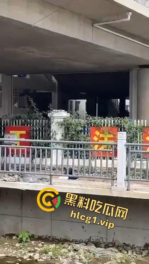 秦皇岛一中高一学生压力大,竟用摔断腿逃学!以身入局的聪明计谋?-10