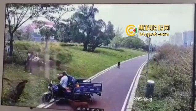 江西赣州母女在公园散步被四条野狗攻击撕咬，扯下来的肉被吃掉，暴露性伤口可以塞进一只手-12