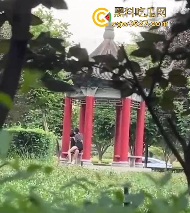 西安医学高等专科学校凉亭瓜！学生情侣大白天在凉亭里面激情骑乘，狂扣骚逼，大白天上演活春宫图！-4
