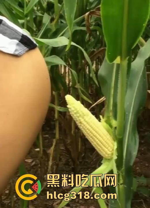 不是玉美都不放过吗！饥渴美女拿未采摘的新鲜玉米自慰，纯天然带颗粒感和高潮更配哦！-3