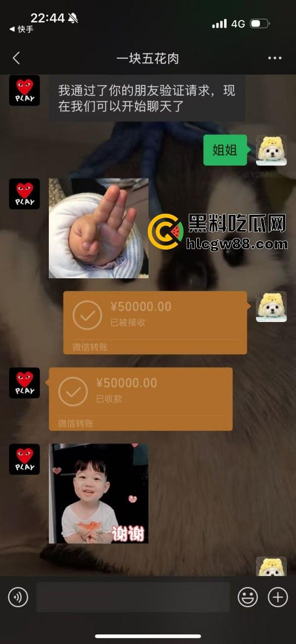 上海三亚借钱不还惯犯洪晓琳坑遍身边人！有钱点男模喝酒，没钱还债四处骗，欠我4.6万快一年，当心别被这婊子坑！-10