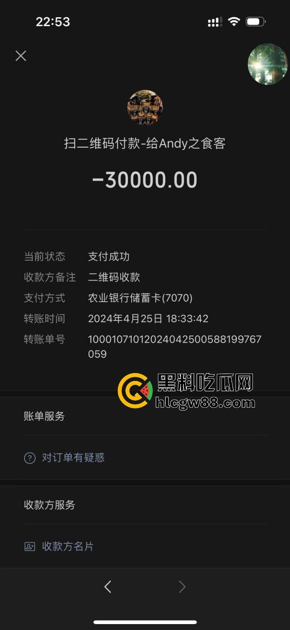 上海三亚借钱不还惯犯洪晓琳坑遍身边人！有钱点男模喝酒，没钱还债四处骗，欠我4.6万快一年，当心别被这婊子坑！-12