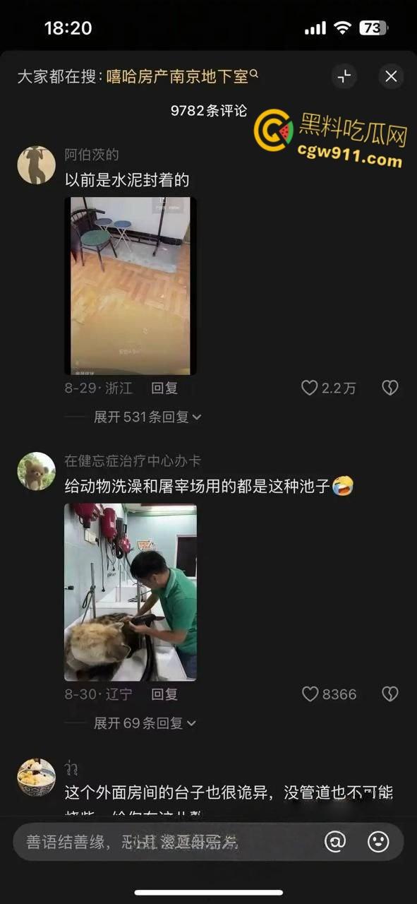 南京建邺区安民村某住宅，被房产中介发现地下室通道，建房期间正是1996年南京碎尸案，血腥味隐约飘密布水龙头！-5