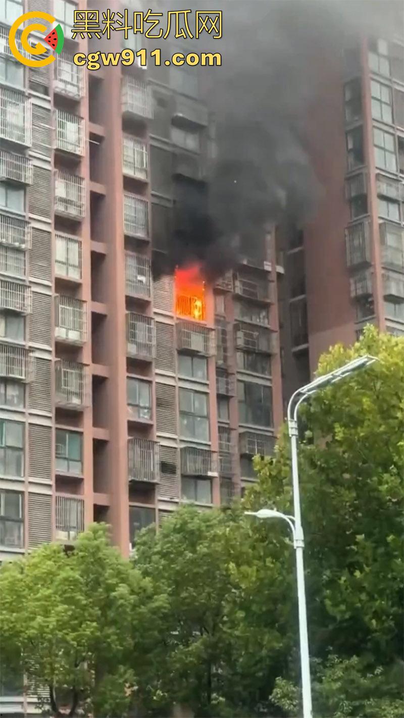 男人崩溃带走全家，合肥滨湖顺园北区发生火灾，据说是男人心态崩溃，给老婆和孩子下安眠药后点了房子！-6