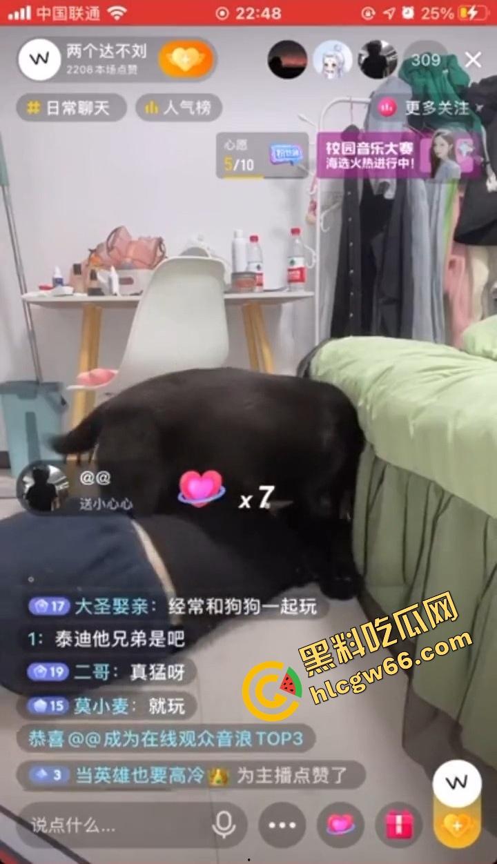抖音网红『两个达不刘』人兽直播炸裂，妹子陪大哥聊骚，拉布拉多扑上来操她怼得生无可恋！-11