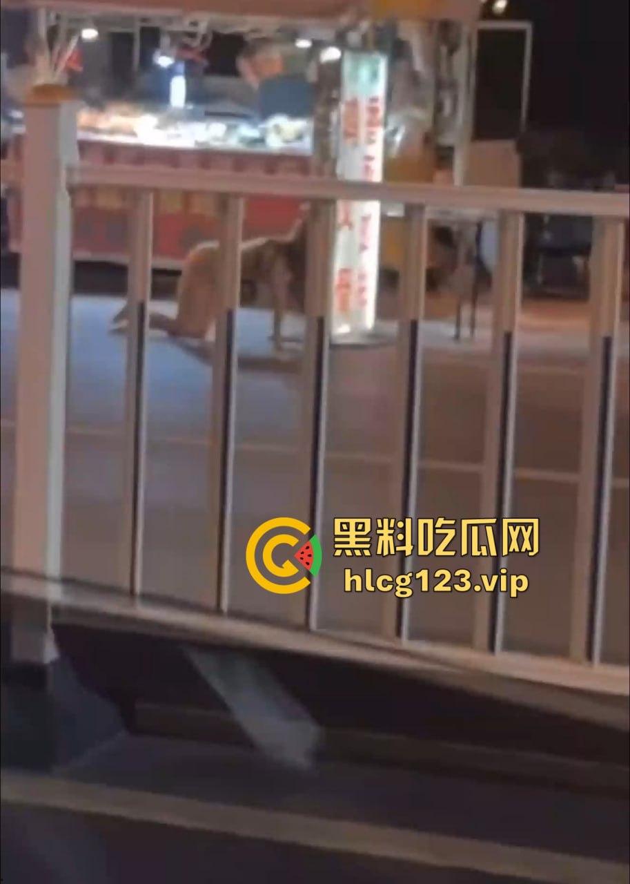 河北邢台快手网红吴媛媛吸毒后大街裸奔！性感长腿翘臀，精神小妹彻底玩嗨学狗爬行！-11