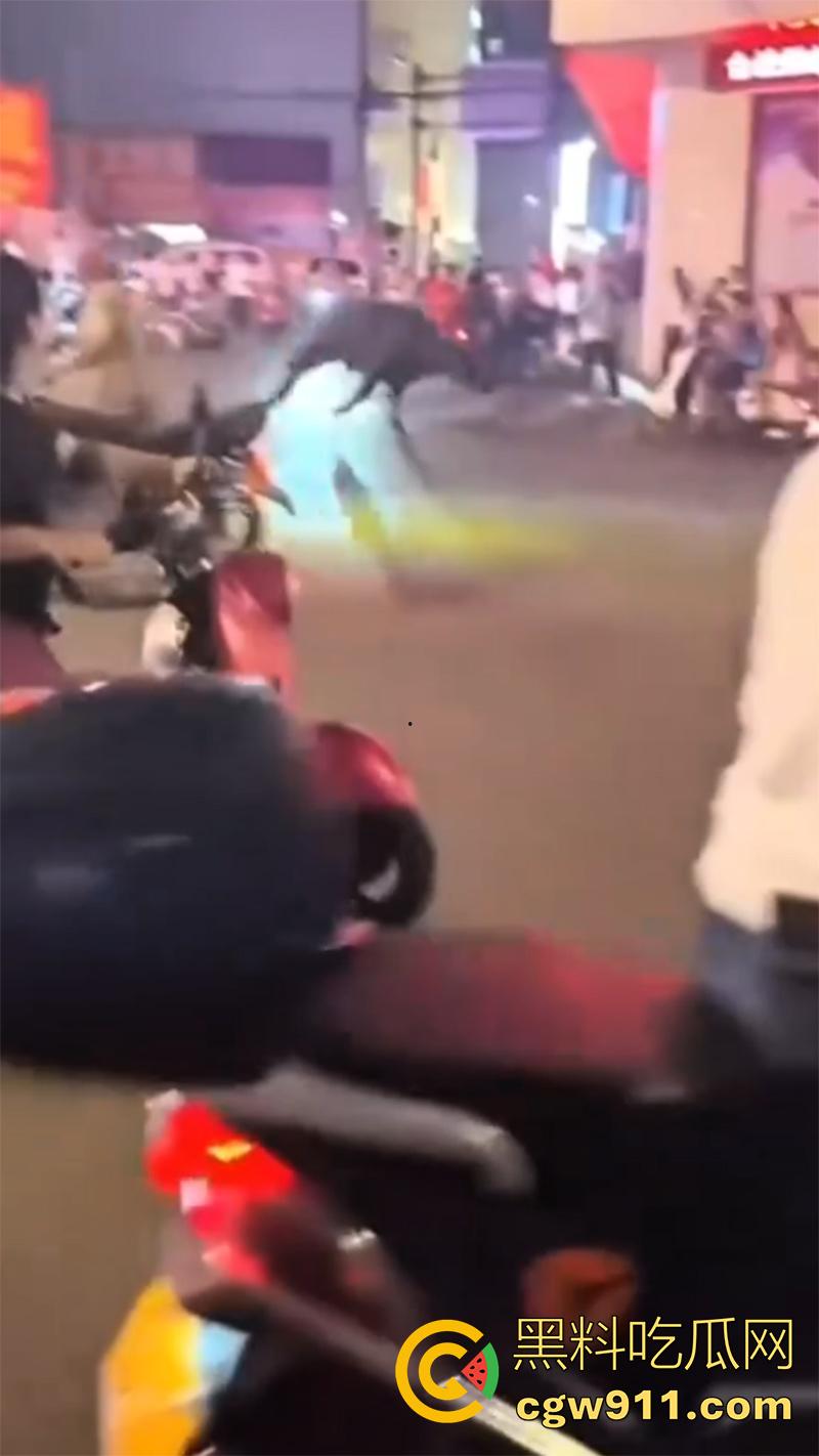 广西藤县河西疯牛伤人事件，伤者正在治疗疯牛仍在逃，警方联合多部门在大冲肚区域追捕！-4